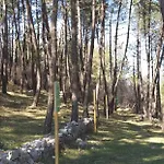 Bed & Breakfast Il Melograno 3*