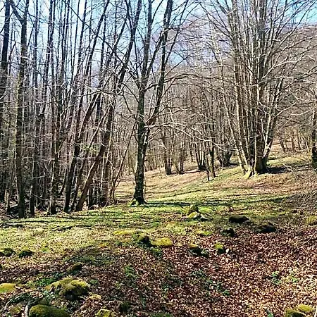 Il Melograno 3* Tortorella