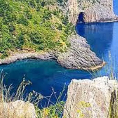 Il Melograno