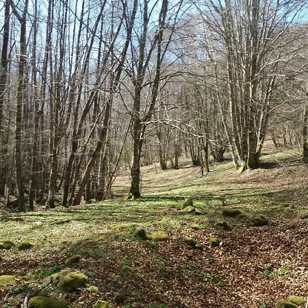 Bed & Breakfast Il Melograno 3*