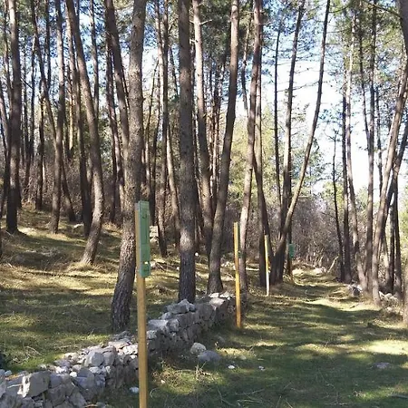 Bed & Breakfast Il Melograno 3*