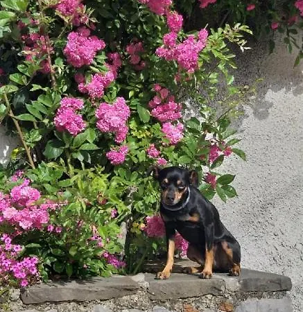Panzió Il Melograno Tortorella